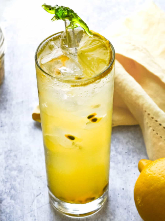 Alegria Cocina Latina - SALSA PASSION COCKTAIL