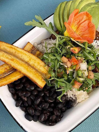 Alegria Cocina Latina - BOWL ROPITA VIEJA